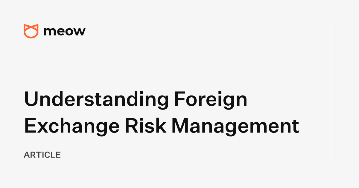 Understanding Foreign Exchange Risk Management