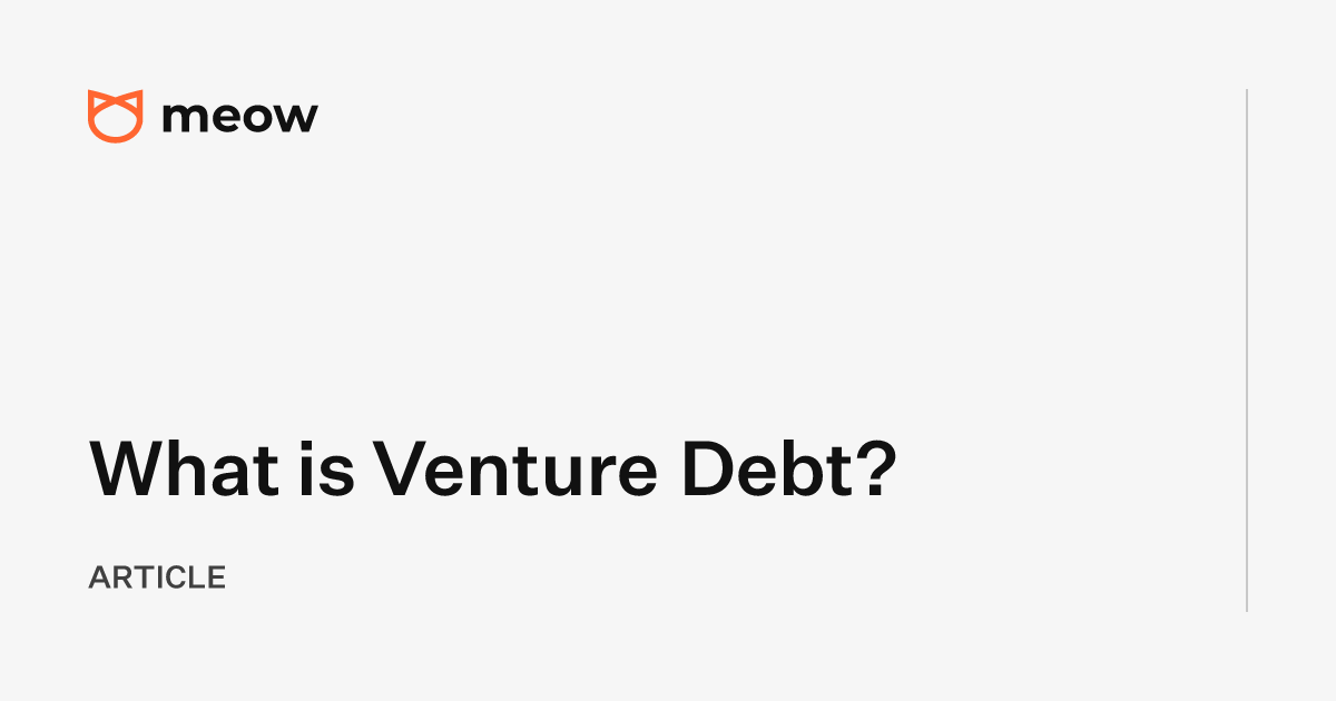 What is Venture Debt?